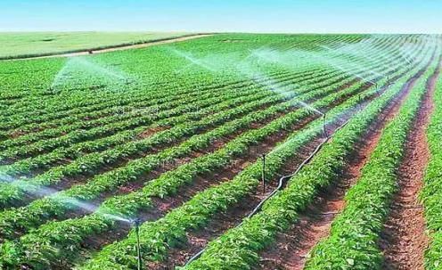 插入粉嫩小逼视频农田高 效节水灌溉